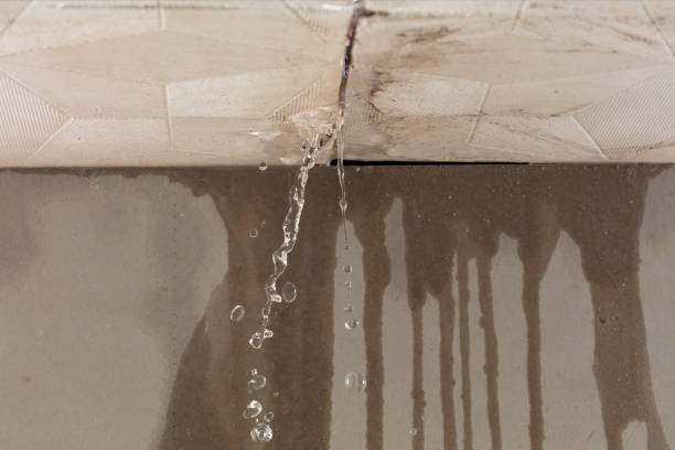 Professional Structural Drying technician working in Camden, NJ